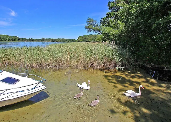 Rheinsberg Holiday home *